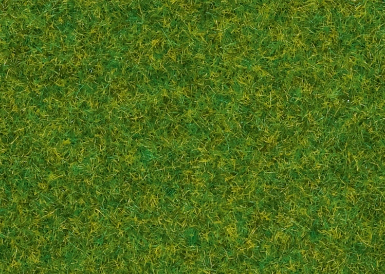 Trva zelen okrasn 2,5 mm